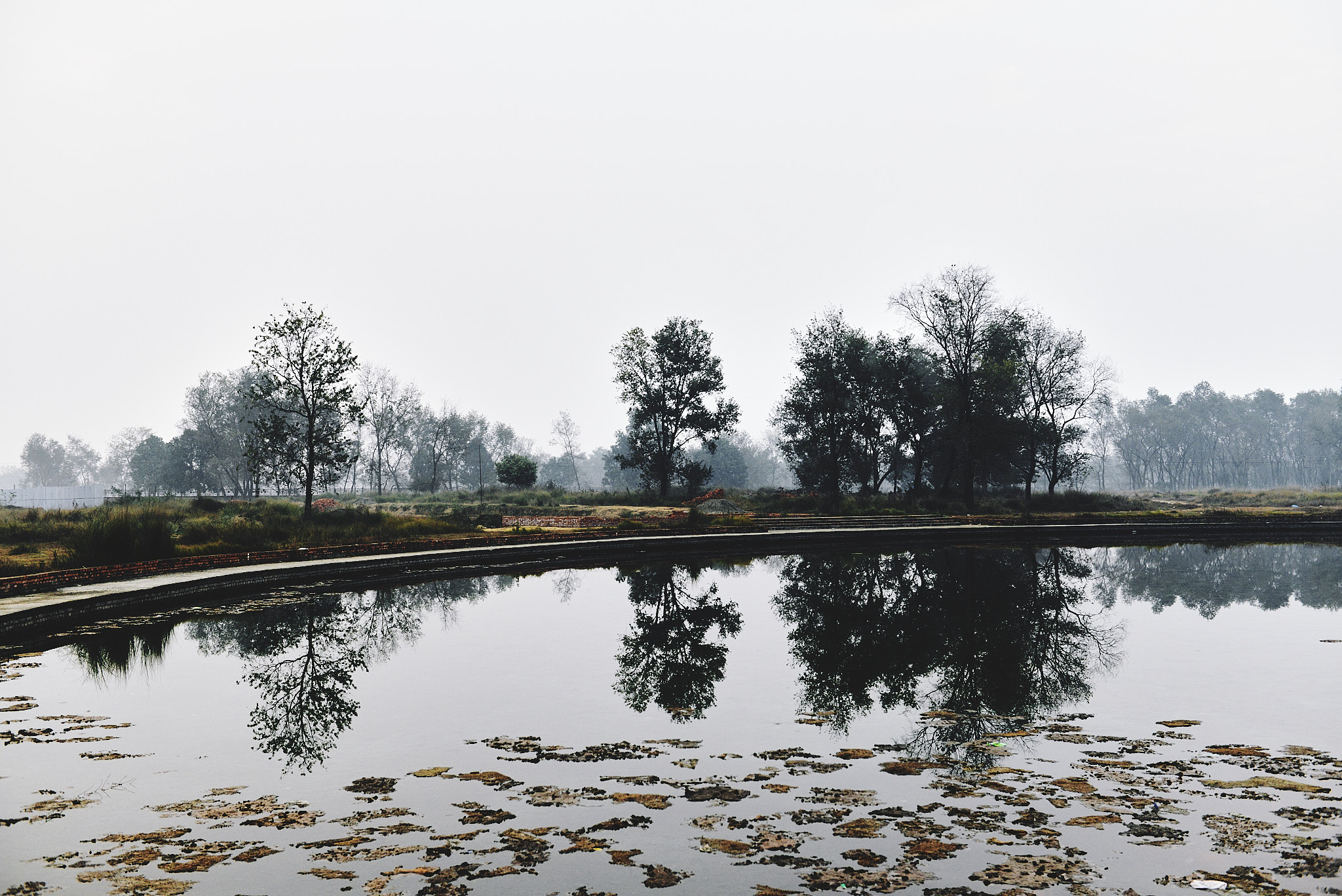 20140111 002 룸비니(부처 탄생지)